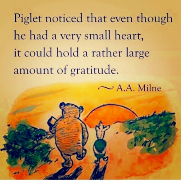 👣 Ugg Faux Sherpa Lined Boot/Shoe Sz 10/11/ VS 12  UNISEX - Picture 3 of 16